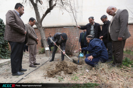 کاشت ۱۶ نهال به یاد «شهدای دانشجو  و جهاددانشگاهی»