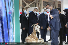 بازدید معاون اجرایی رییس جمهور از نمایشگاه توانمندی‌های جهاددانشگاهی۱۴۰۰ در چهارمیم روز این نمایشگاه