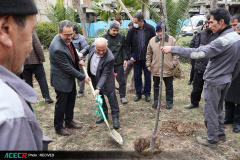 کاشت ۱۶ نهال به یاد «شهدای دانشجو  و جهاددانشگاهی»