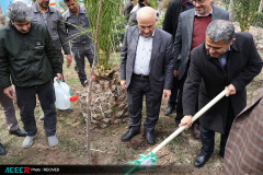 کاشت ۱۶ نهال به یاد «شهدای دانشجو  و جهاددانشگاهی»