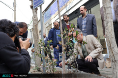 کاشت ۱۶ نهال به یاد «شهدای دانشجو  و جهاددانشگاهی»