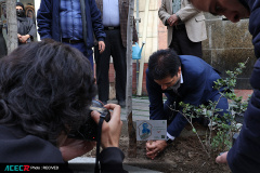 کاشت ۱۶ نهال به یاد «شهدای دانشجو  و جهاددانشگاهی»