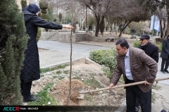 کاشت ۱۶ نهال به یاد «شهدای دانشجو  و جهاددانشگاهی»