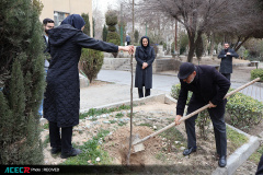 کاشت ۱۶ نهال به یاد «شهدای دانشجو  و جهاددانشگاهی»