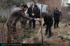 کاشت ۱۶ نهال به یاد «شهدای دانشجو  و جهاددانشگاهی»