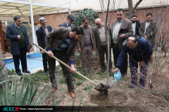 کاشت ۱۶ نهال به یاد «شهدای دانشجو  و جهاددانشگاهی»