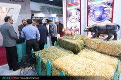 معرفی دستاوردهای جهاددانشگاهی در هفتمین نمایشگاه ایران اکسپو ۲۰۲۵