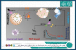 معرفی پلتفرم نانویی برای افزایش کارایی روش فتودینامیک در درمان سرطان پستان