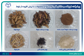 پیشرفت طرح کسب دانش فنی تولید انواع محصولات با ارزش افزوده از بلوط