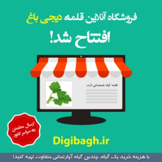 افتتاح فروشگاه آنلاین قلمه گیاهان آپارتمانی و زینتی