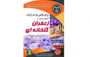 برگزاری دوره آموزشی پرورش زعفران گلخانه ای به روش آیروپونیک