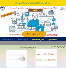 دوره آموزشی راه اندازی استارت آپ و تبدیل ایده خلاقانه به کسب و کار برگزار شد