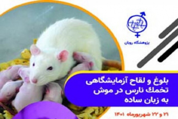 دومین کارگاه بلوغ و لقاح آزمایشگاهی تخمک نارس در موش برگزار می شود